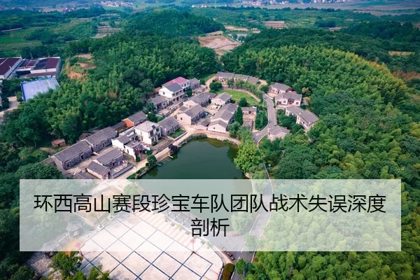 环西高山赛段珍宝车队团队战术失误深度剖析