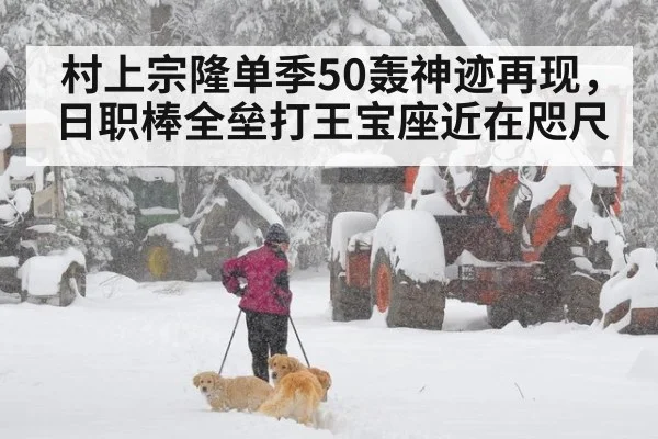村上宗隆单季50轰神迹再现，日职棒全垒打王宝座近在咫尺